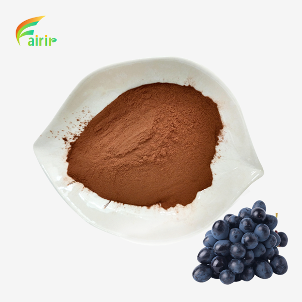 Organic Grape Seed Extract Powder